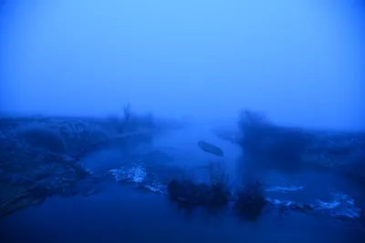 DSC_1059 (Large).JPG